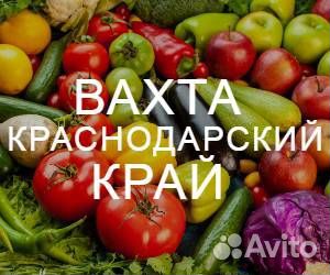 Сортировщик овощей вахта Краснодар