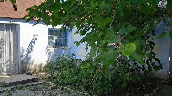 Дом 57 м² на участке 20 сот.