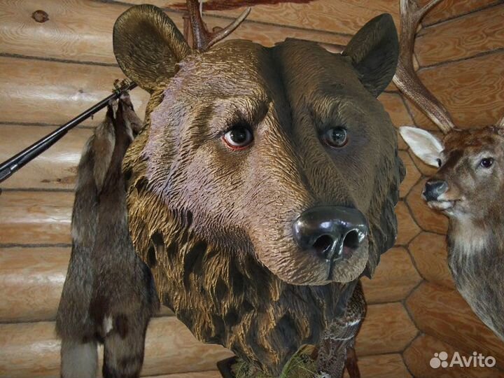 Голова Медведя