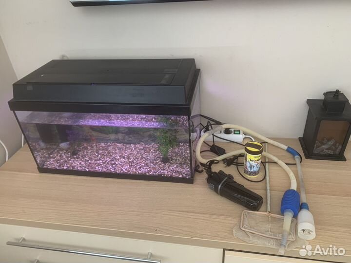 Аквариум с рыбками