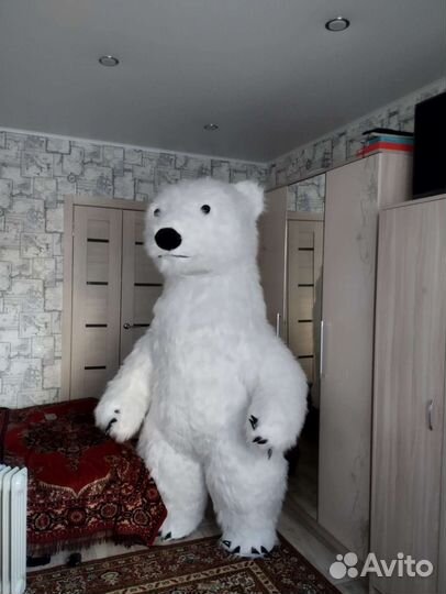 Поздравления от белого медведя