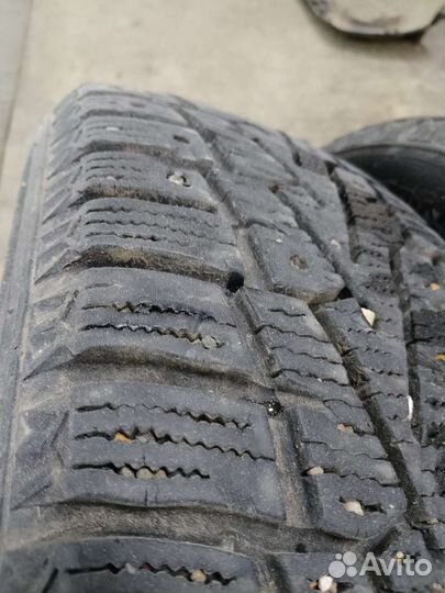 Nexen Winguard WinSpike 195/65 R15 92