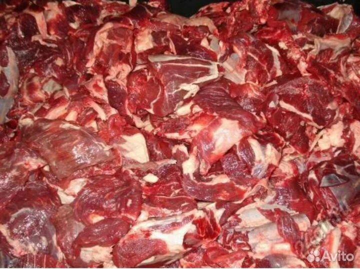 Мясо говядина для собак