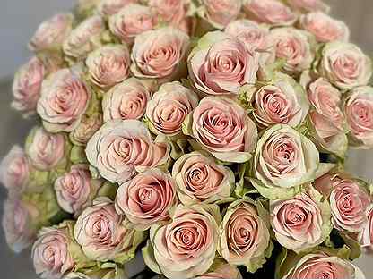 Живые цветы букеты розы