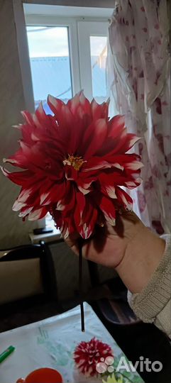 Живые цветы на развод