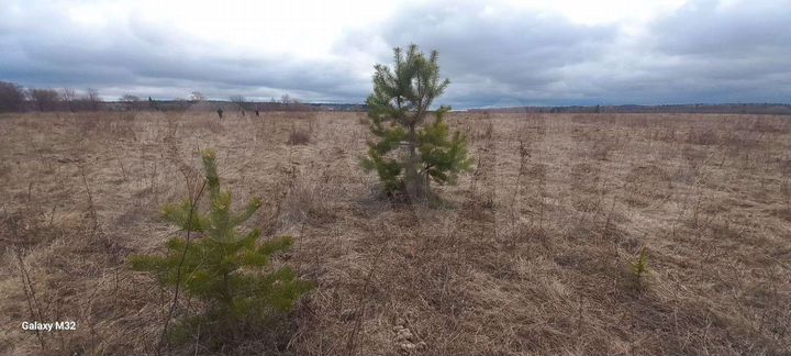 Участок 28 сот. (ИЖС)