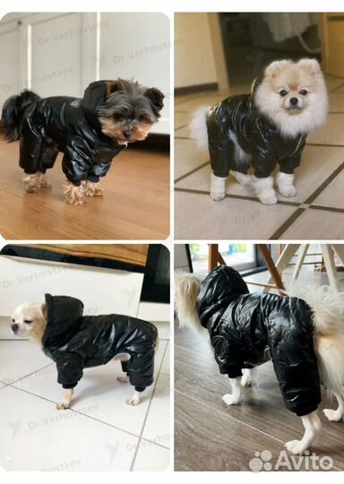 Зимний комбинезон для собак мелких пород