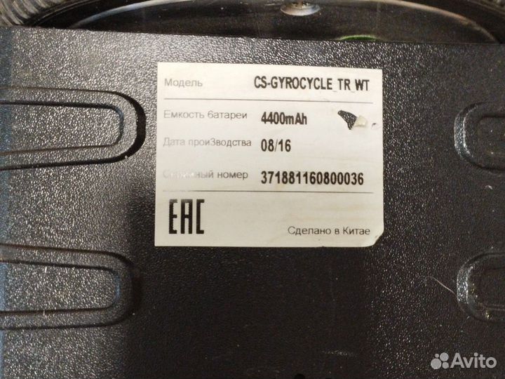 Гироскутер cactus