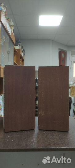 Акустическая система колонки маяк 10ас 318