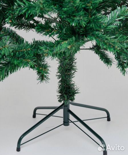Ель классическая / Доставка