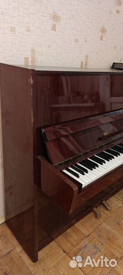 Фортепиано бесплатно