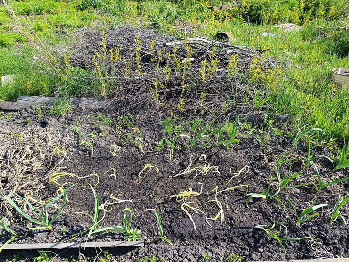 Участок 7,2 сот. (СНТ, ДНП)