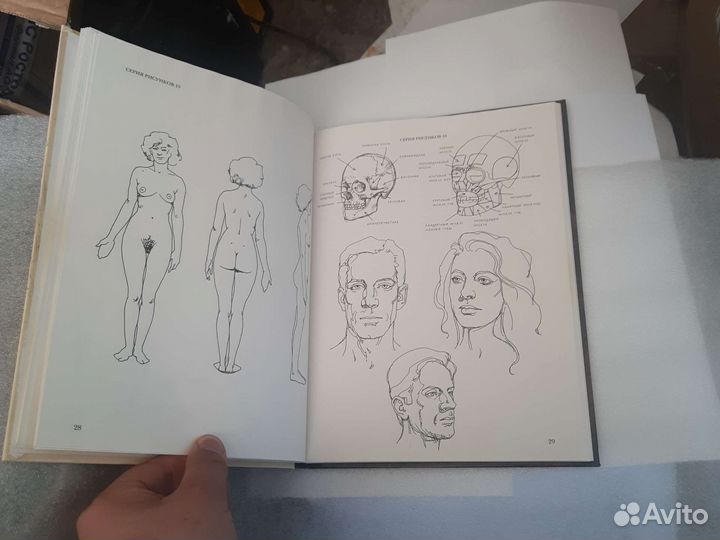 Джованни Чиварди «Человеческое тело