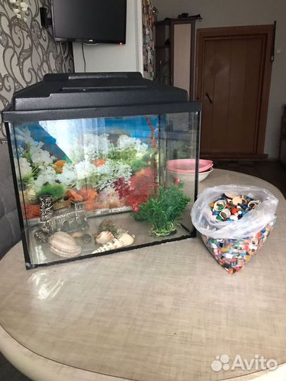 Аквариум