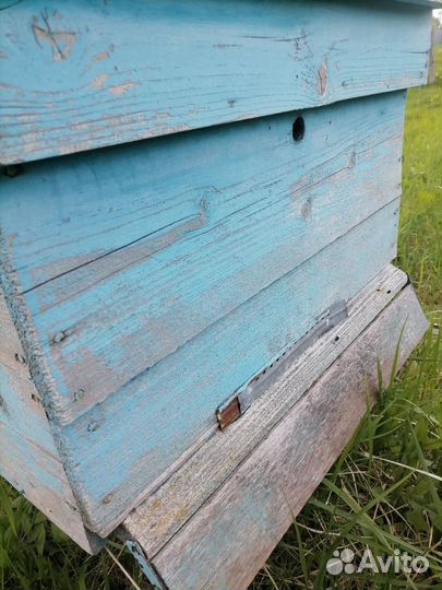 Ульи для пчел