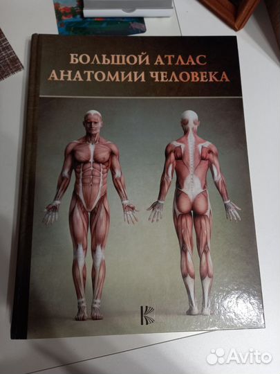 Анатомический атлас