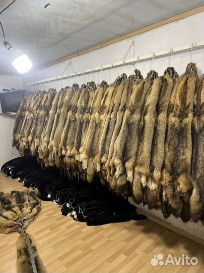 Шкуры волков