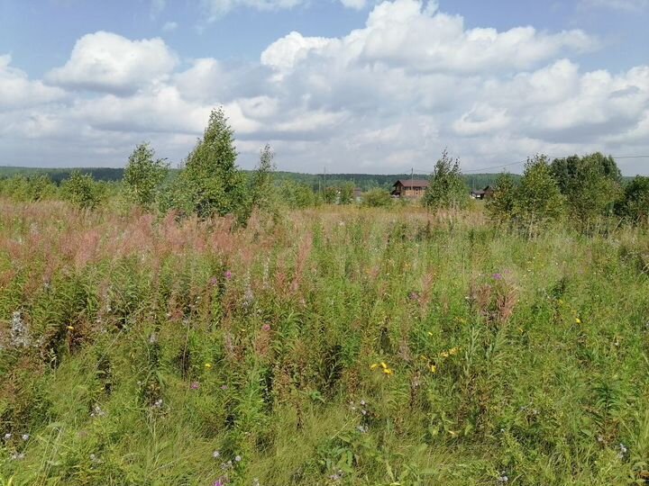 Участок 10 сот. (СНТ, ДНП)