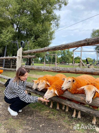 Тур на Кудыкину гору