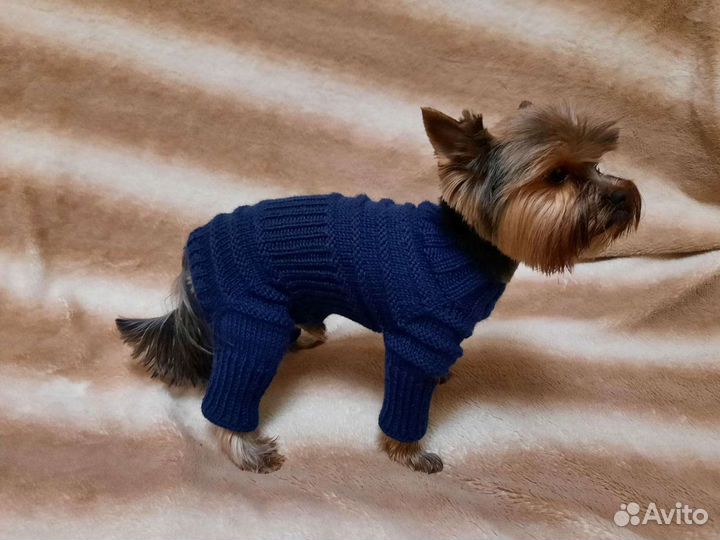 Комбинезон для маленьких собак Йорк