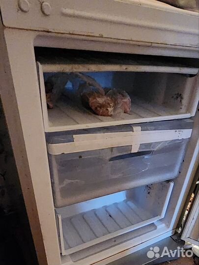 Холодильник бу indesit