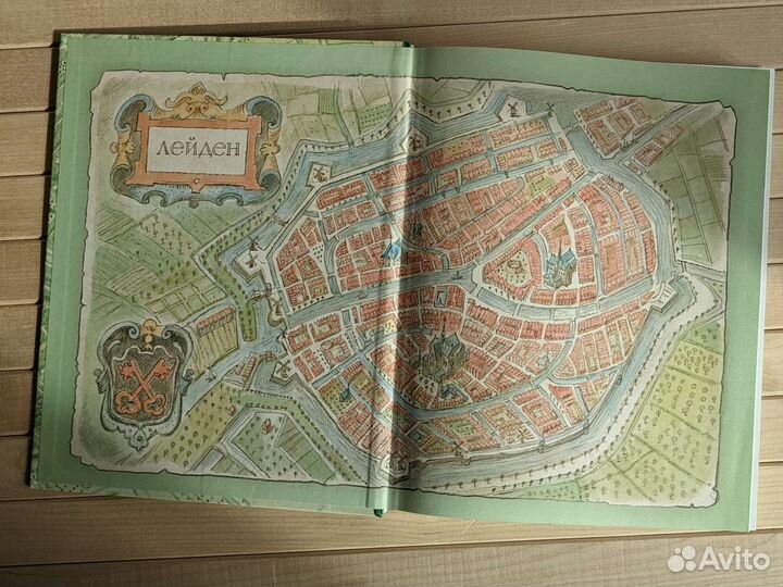 Кеес адмирал тюльпанов Сергиенко Константин