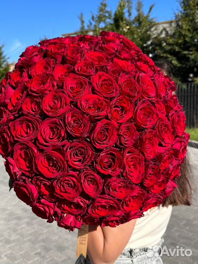 Роза 101шт 50см,доставка цветов Калининград