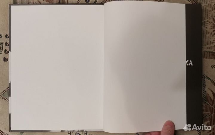 Майк Науменко Бегство из зоопарка А.Кушнир