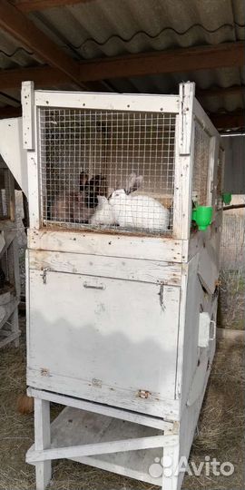 Клетка для кролика