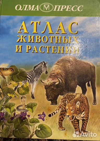 Справочник для школьников, энциклопедии