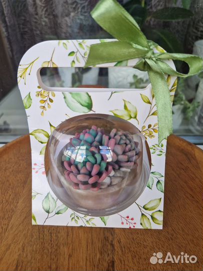 Суккуленты мыло