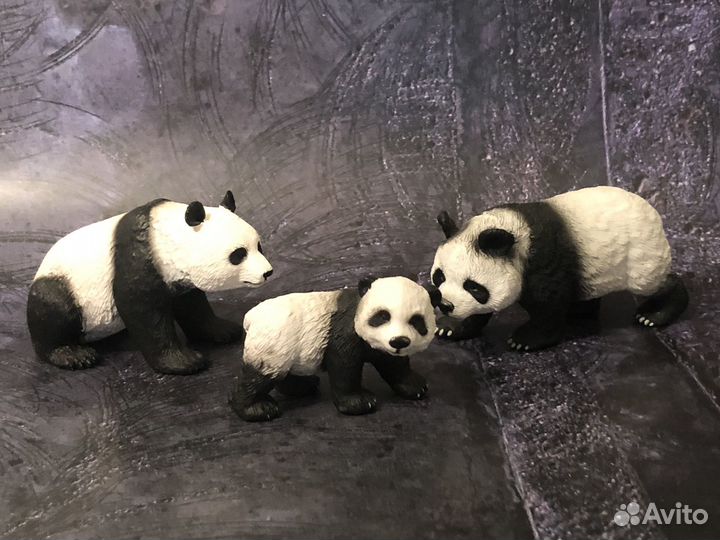 Драконы разные