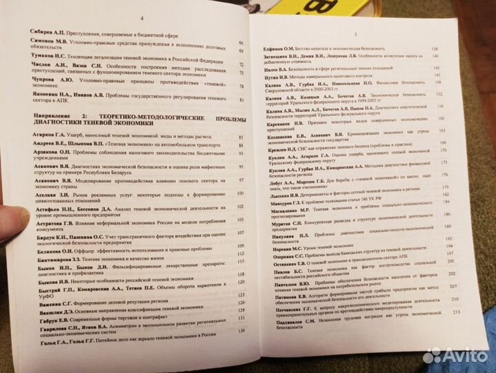 Теневая экономика: пробл. диагностики 2004г урфу