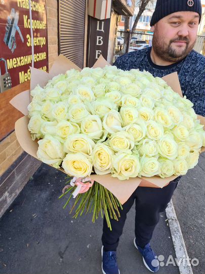 101 высокая белая роза импорт премиум