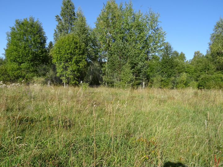 Участок 4,89 га (СНТ, ДНП)