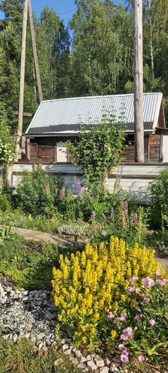 Дом 50 м² на участке 6 сот.