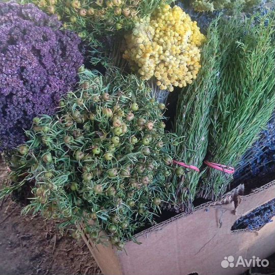 Крымские травы 2023