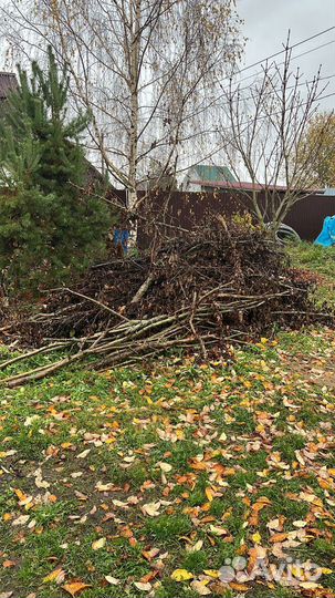 Вывоз Мусора