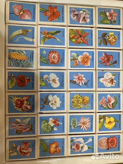 Набор сувенирный спичек СССР