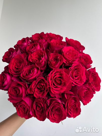 Роза малиновые 50см 25шт,доставка цветов