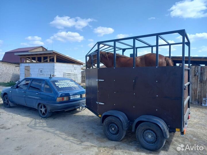 Откорм Лошадей