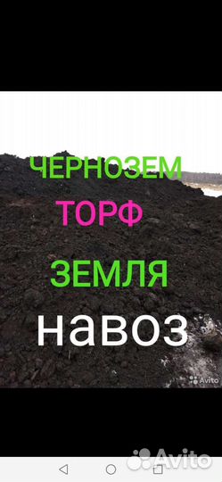 Торф. Перегной