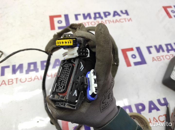 Проводка двери задней левой Renault Scenic 2 8200466049