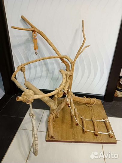 Дерево присада для попугаев