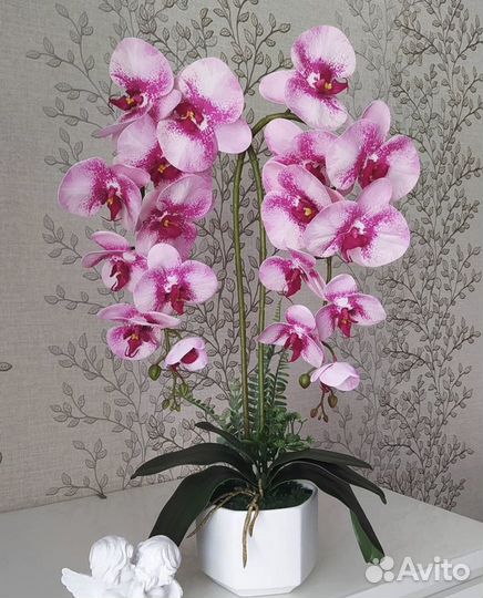 Орхидея