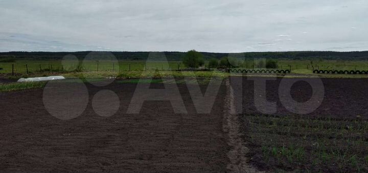 Участок 20 сот. (ИЖС)