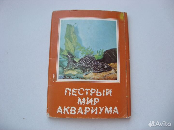 Аквариумистам наборы открыток