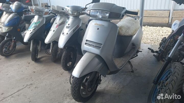 Honda Lead 50