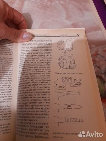 Книга о кошках