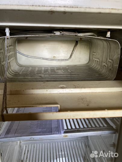 Холодильник Свияга